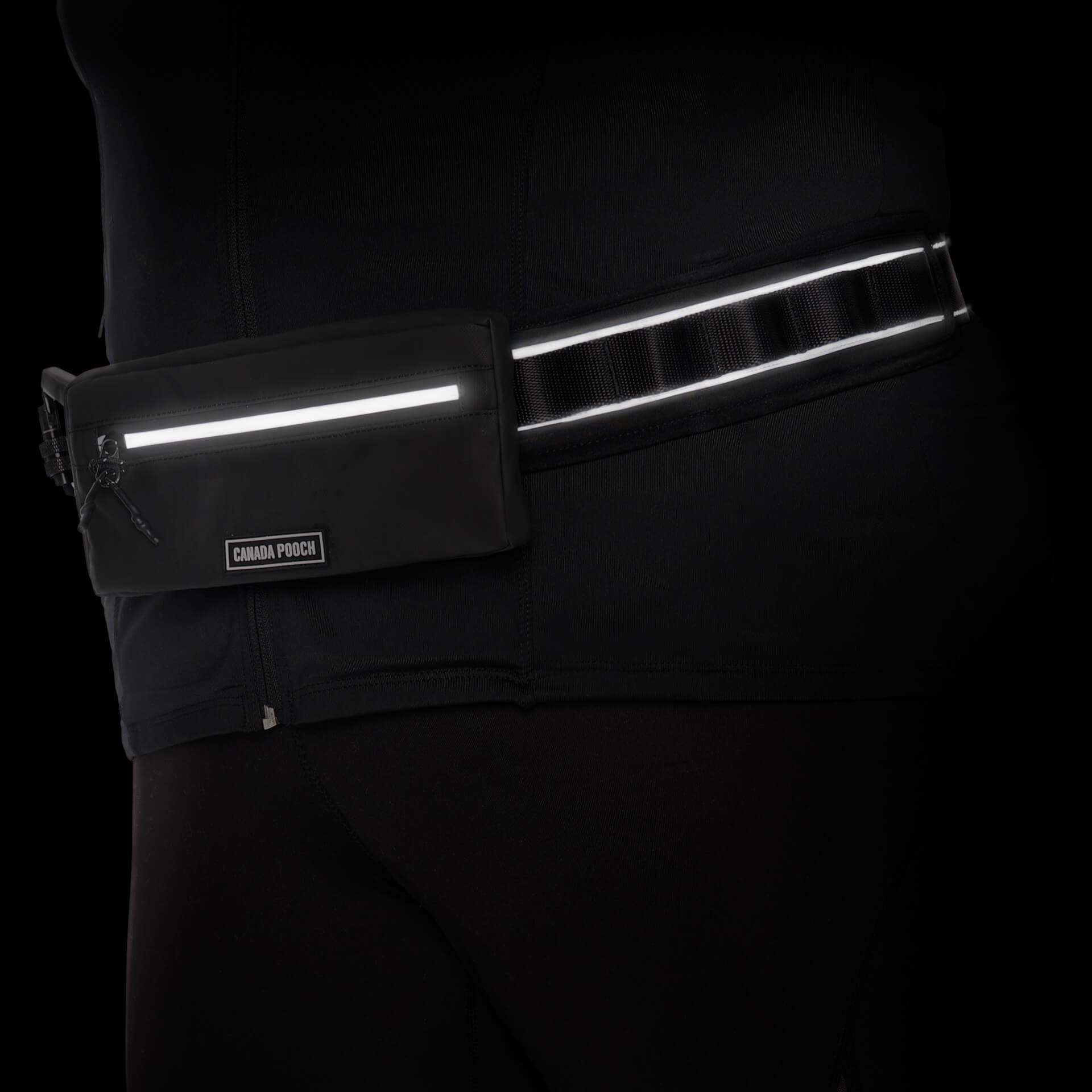 Handsfree Dog Walking Belt