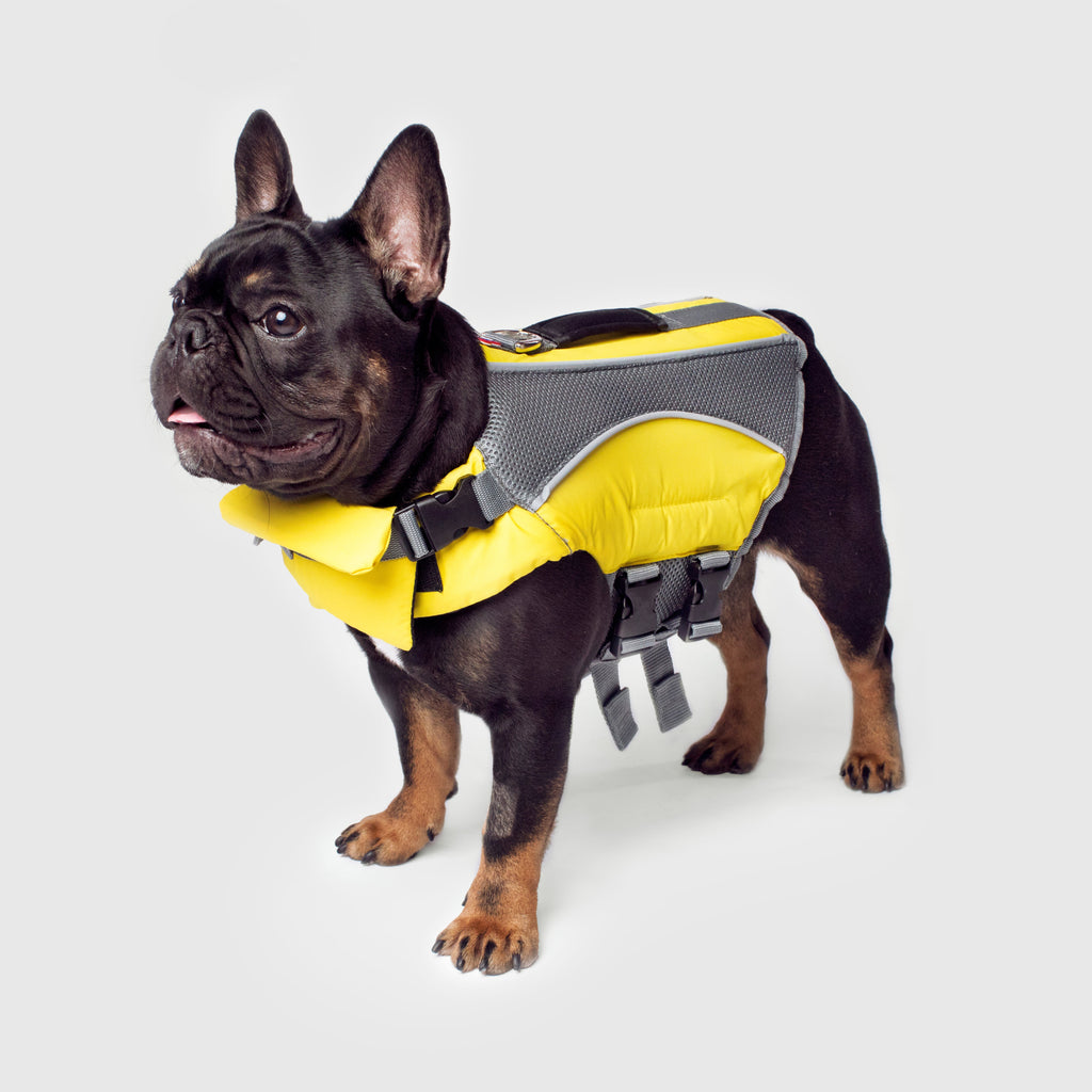 Wave Rider Life Jacket