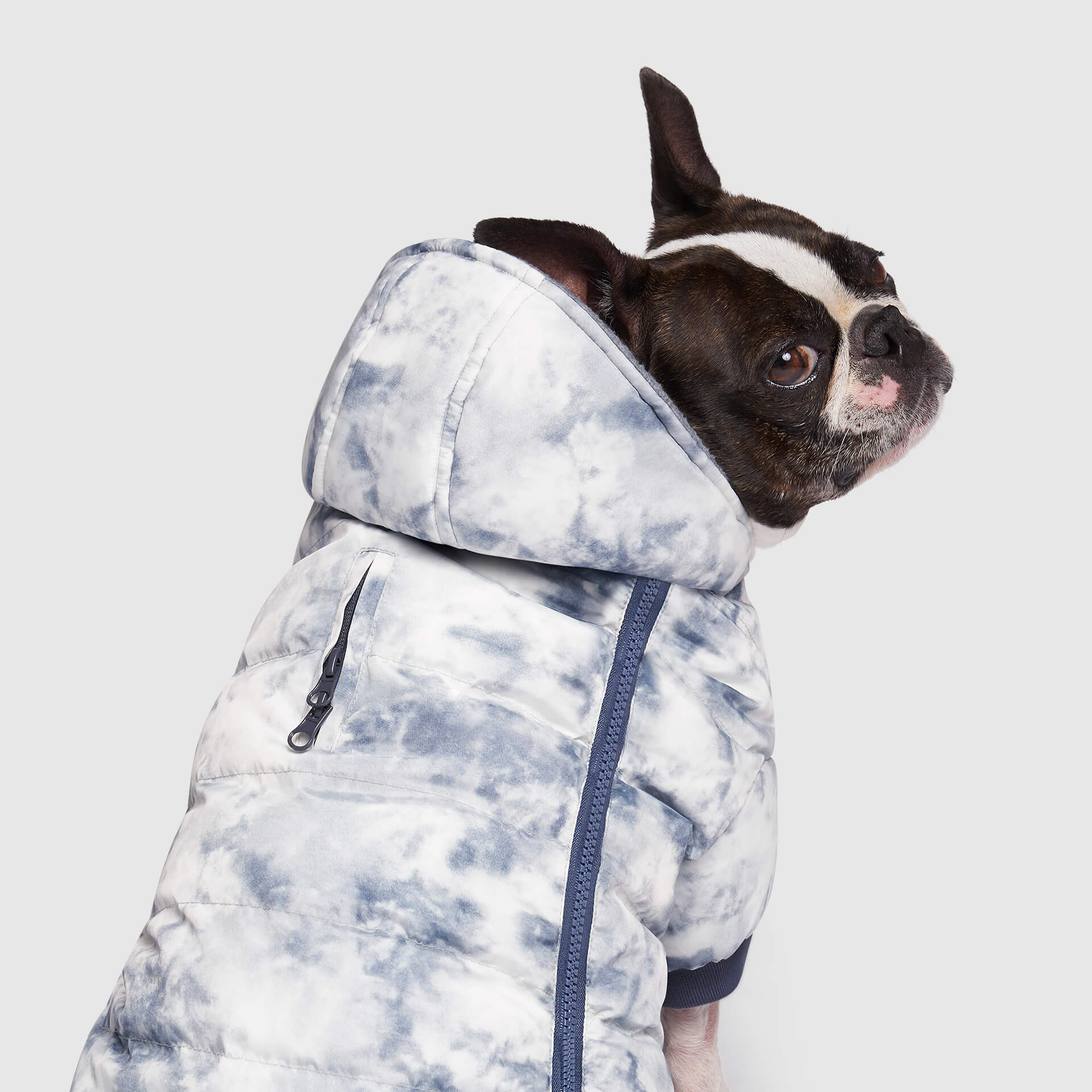 Prism Puffer